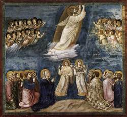 Ascension Giotto.jpg